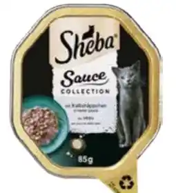Globus Baumarkt Sheba Katzenfutter Angebot