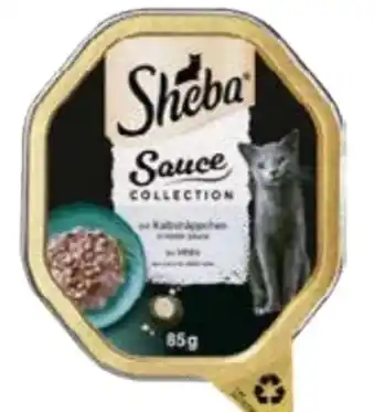 Globus Baumarkt Sheba Katzenfutter Angebot