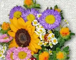 nahkauf Rewe Regional Blumenstrauß Bunte Wiese Angebot