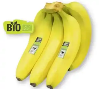 Scheck-in-Center Edeka Bio Bananen Angebot