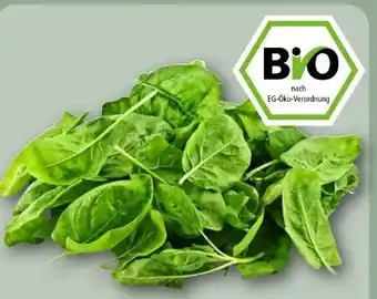 REWE Rewe Bio Baby Spinat Angebot