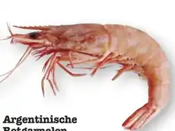 Scheck-in-Center Argentinische Rotgarnelen getaut Angebot