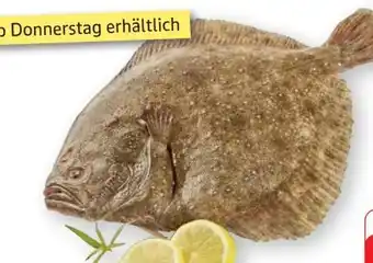 Edeka Steinbutt Angebot