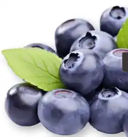 Scheck-in-Center Heidelbeeren Angebot