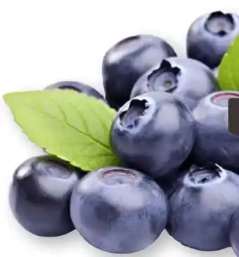 Scheck-in-Center Heidelbeeren Angebot
