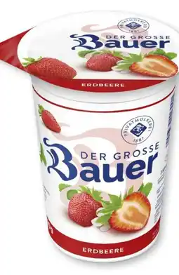 Scheck-in-Center Bauer Der Große Fruchtjoghurt Angebot