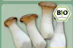 REWE Center Rewe Bio Kräuterseitlinge Angebot