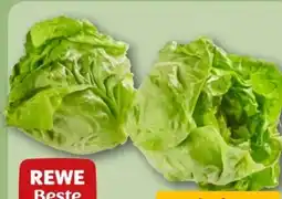 REWE Center Rewe Beste Wahl Kopfsalatherzen Angebot