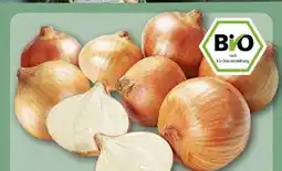 REWE Center Rewe Bio Bio-Speisezwiebeln Angebot