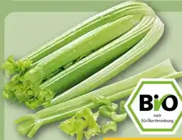 REWE Center Rewe Bio Staudensellerie Angebot