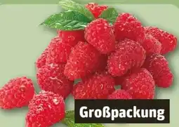 REWE Center Himbeeren Angebot