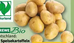 REWE Edeka Bio Bio-Speisekartoffeln Angebot