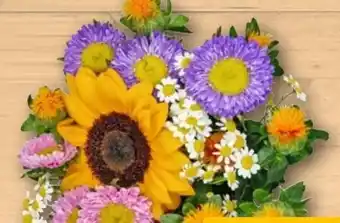 REWE Center Blumenstrauß Bunte Wiese Angebot