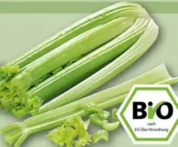 REWE Rewe Bio Staudensellerie Angebot
