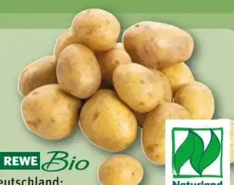 REWE Center Rewe Bio Bio-Speisekartoffeln Angebot