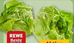 REWE Rewe Beste Wahl Kopfsalatherzen Angebot