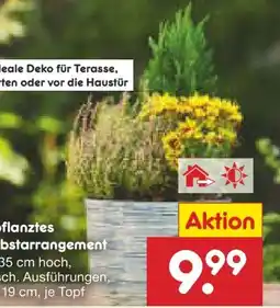 Netto Marken-Discount Herbstarrangement Angebot