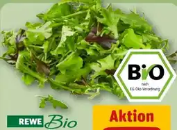 REWE Rewe Bio Crispy Salatmix Angebot