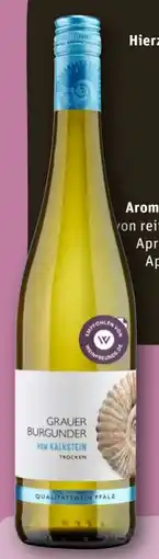REWE Weingut Kendermanns Grauer Burgunder vom Kalkstein Angebot
