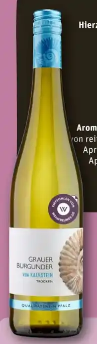 REWE Weingut Kendermanns Grauer Burgunder vom Kalkstein Angebot