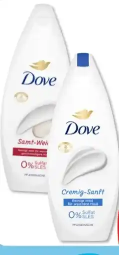 Budni Dove Duschgel Angebot