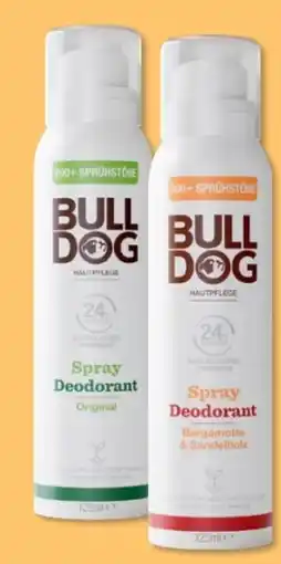 Budni Bulldog Hautpflege Deospray Angebot