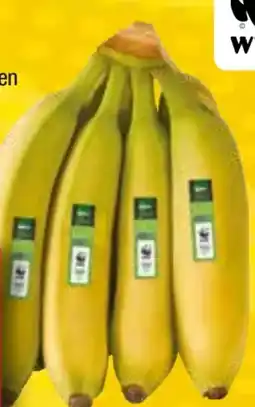 EDEKA Bandelt Edeka Bio Bio-Bananen Angebot