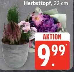 Edeka Frischemarkt Edeka Herzstücke Floristenstrauß Angebot