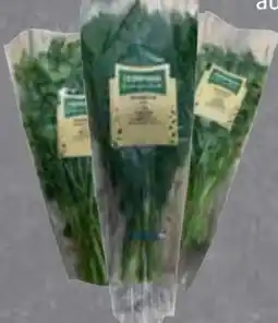Edeka Kräuterbunde Dill XXL Angebot