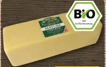 REWE Center Vallée Verte Bio-Cheddar Angebot