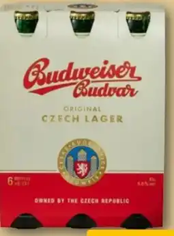 REWE Center Budweiser Budvar (CZ) Premium Lager Angebot
