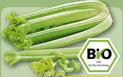 REWE Edeka Bio Staudensellerie Angebot