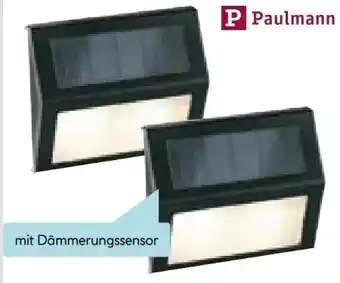 Hellweg Paulmann Solar-Stufenlicht Angebot
