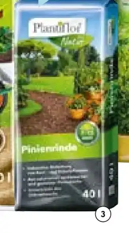Hellweg Plantiflor Pinienrinde Angebot