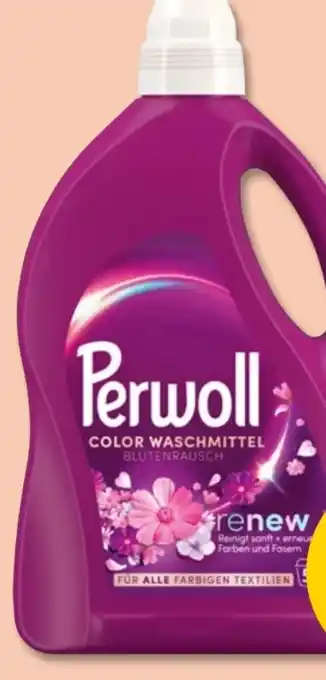PENNY Perwoll Blütenrausch Angebot