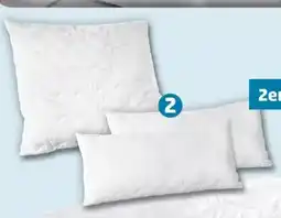 PENNY Sleep and Dream Kopfkissen Angebot