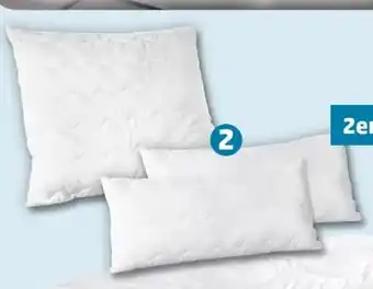 PENNY Sleep and Dream Kopfkissen Angebot