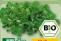 REWE Rewe Bio Feldsalat Angebot