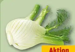 REWE Fenchel Angebot