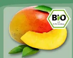 REWE Rewe Bio Mangos Angebot