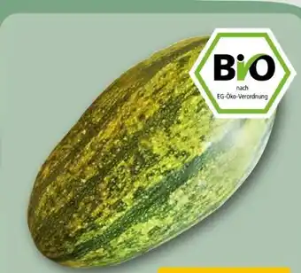 REWE Rewe Bio Spaghetti Kürbis Angebot