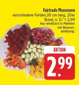 Edeka Fairtrade moosrosen Angebot
