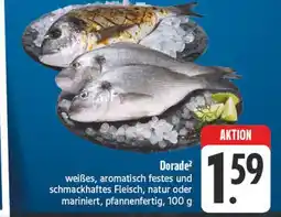 Edeka Dorade Angebot