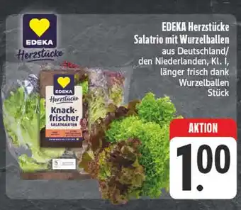 Edeka Edeka herzstücke salatrio mit wurzelballen Angebot