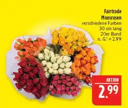 Marktkauf Fairtrade moosrosen Angebot