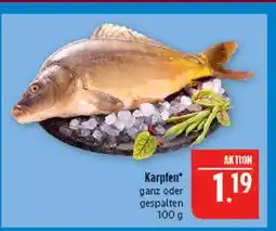 Marktkauf Karpfen Angebot