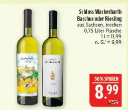 Marktkauf Schloss wackerbarth bacchus Angebot
