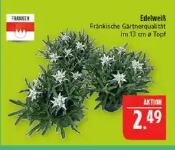 Marktkauf Franken edelweiß Angebot