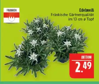 Marktkauf Franken edelweiß Angebot