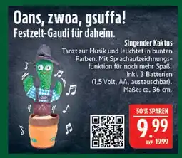 Marktkauf Singender kaktus Angebot